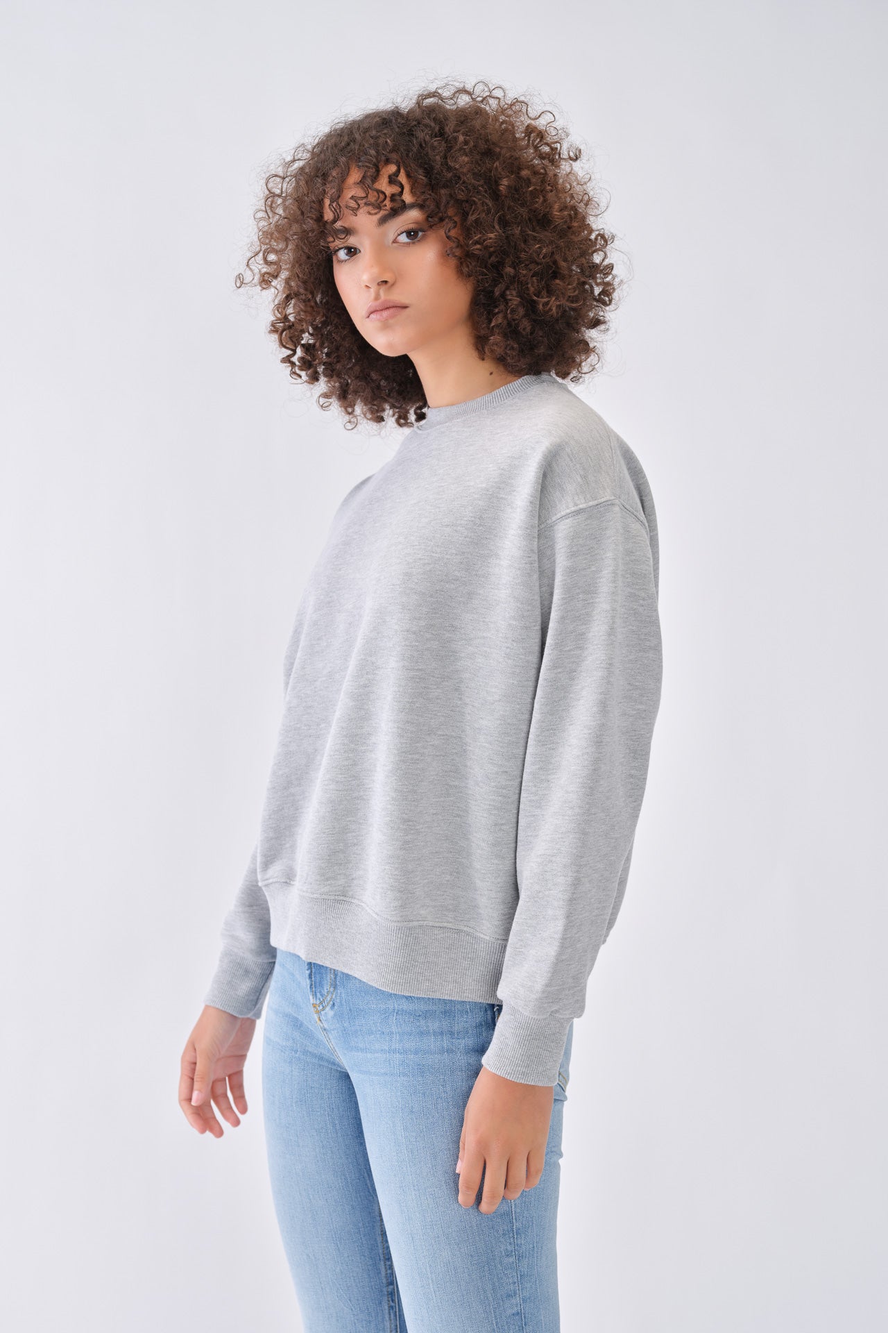 320/220 - Women´s Brushed Sweatshirt 